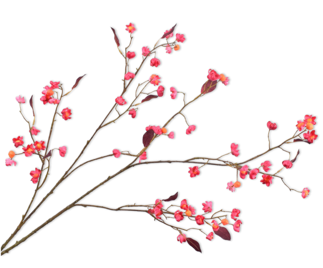 Berry Spray Beauty