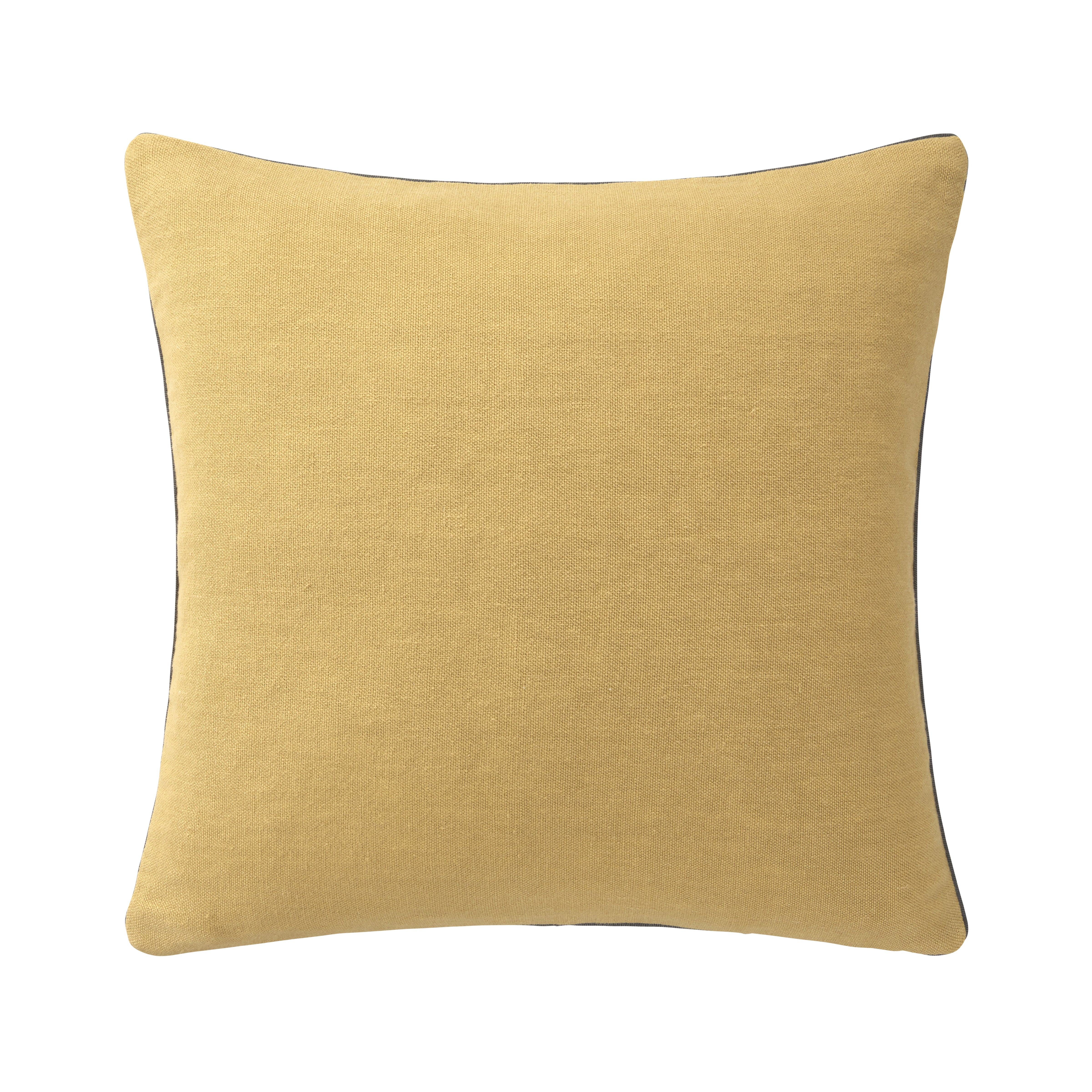 Iosis Pigment Accent Pillow