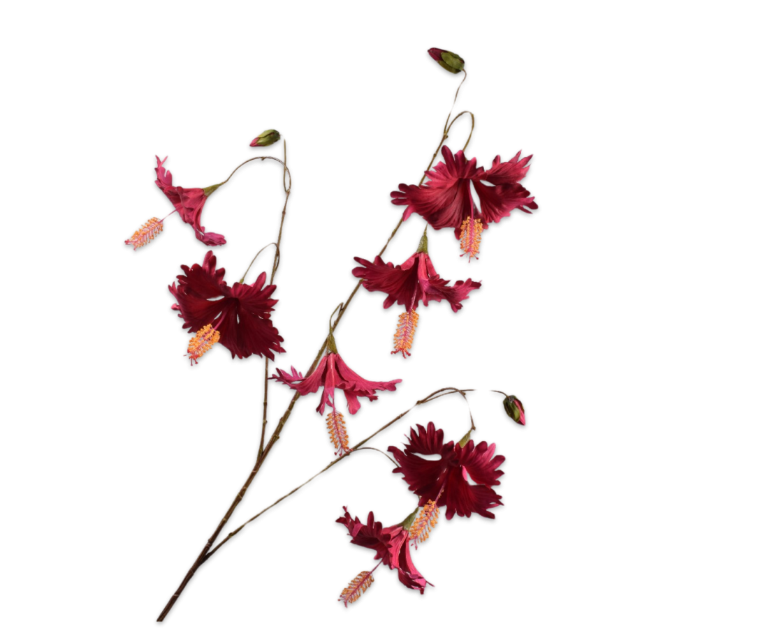Hibiscus Spray Stem