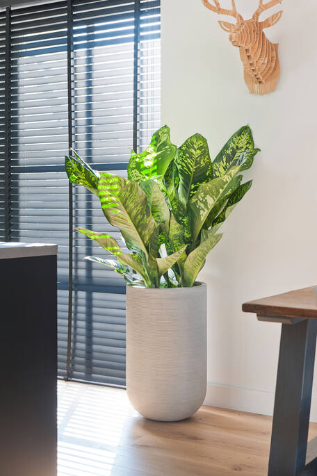 Cody Horizontal Ridged Planter - High