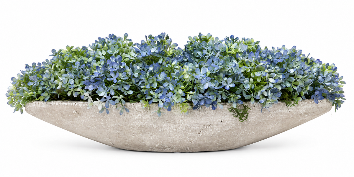 Blue Snowball Hydrangea in Grey Canoe