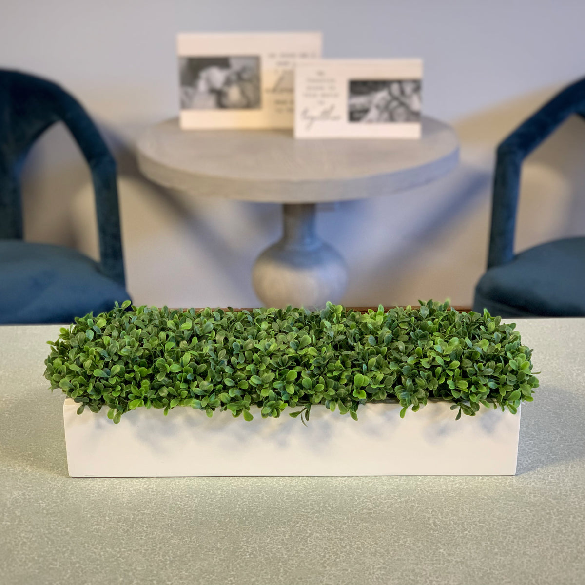 DH White Rectangle Boxwood Pot