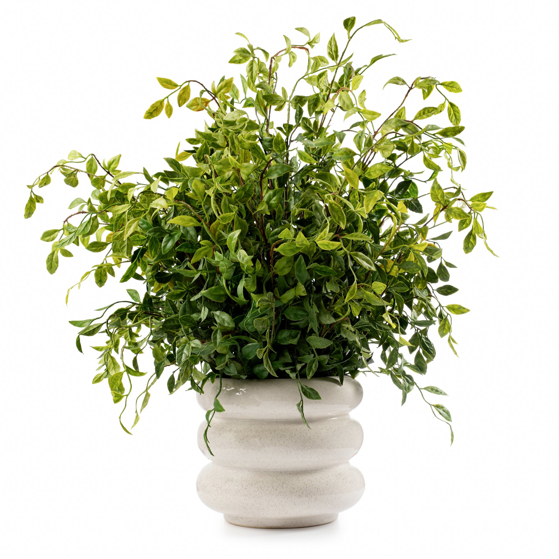 Nandina Leaf Ridged Pot