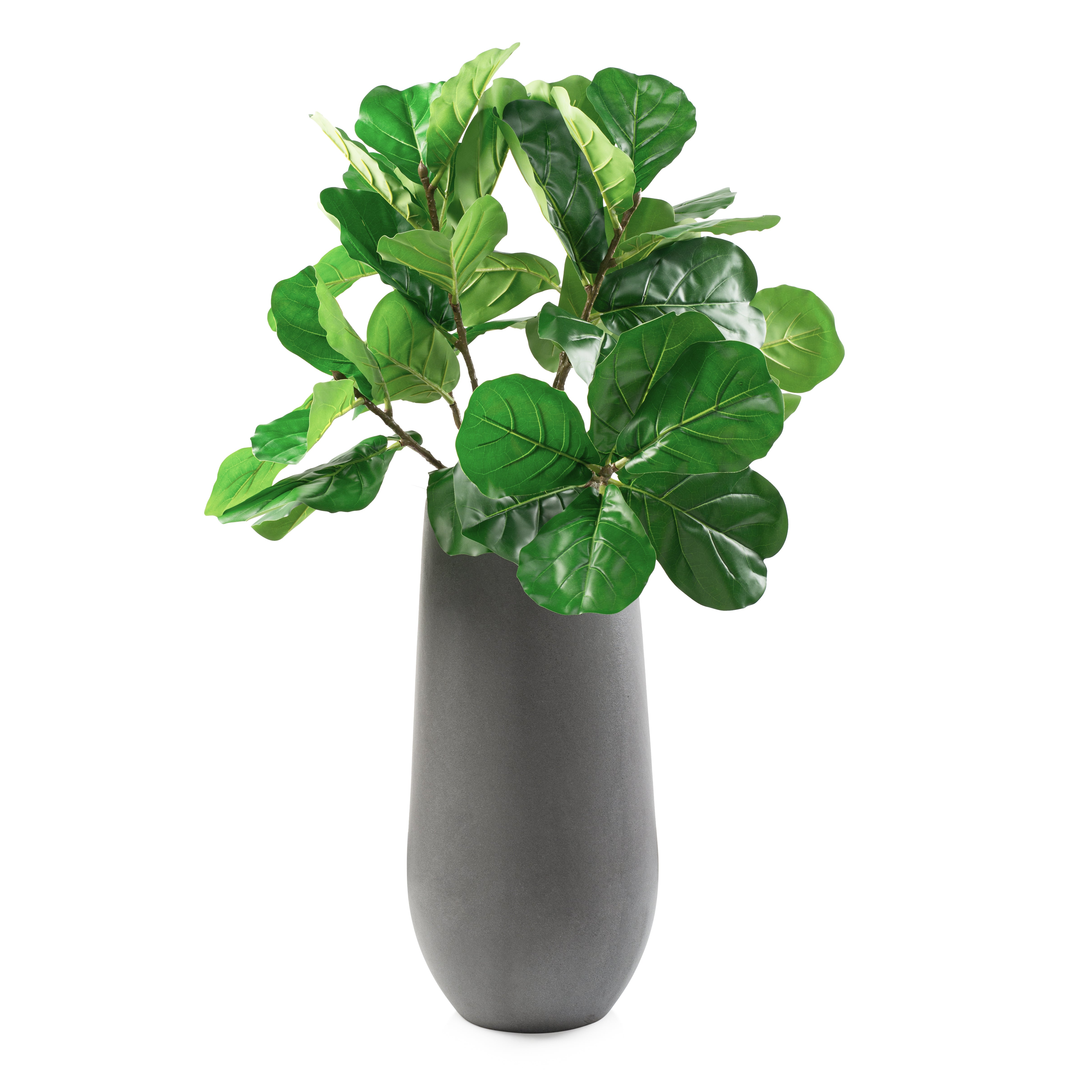 large plant pot for fiddle leaf fig Outdoor Fiddle In Tall Grey Pot Domani Home