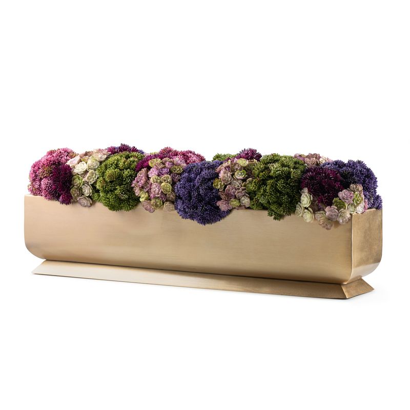 DH Multicolor Sedum Arrangement
