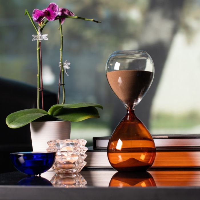 Phillip 60 Minute Amber Stand Timer