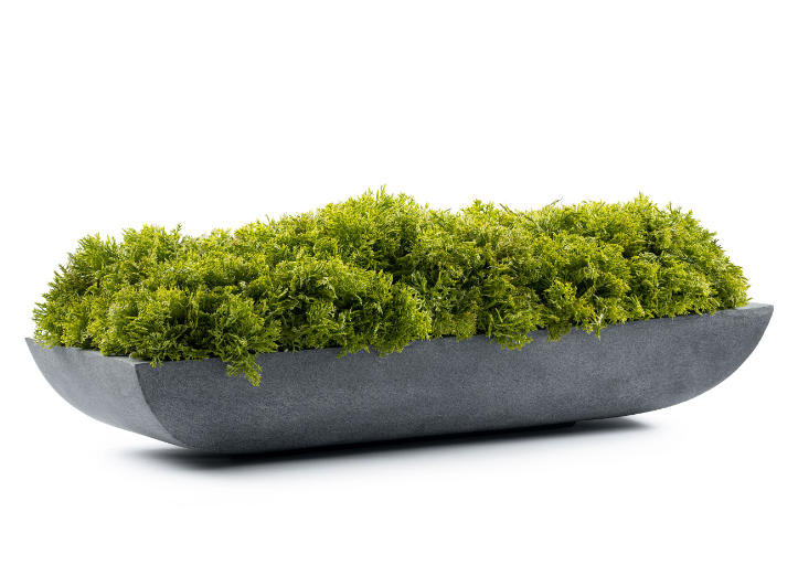 Moss Arrangement in Concrete Bowl