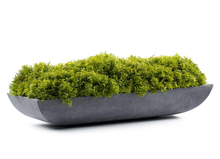 Green Moss Concrete Pandora