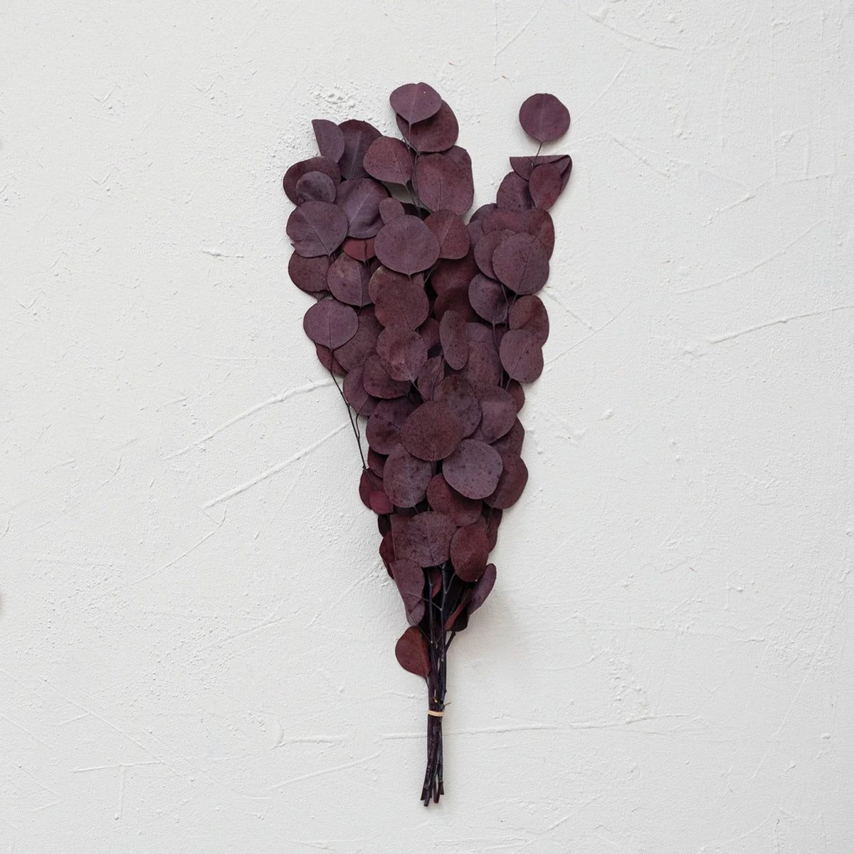 Dried Natural Aubergine Eucalyptus Bunch