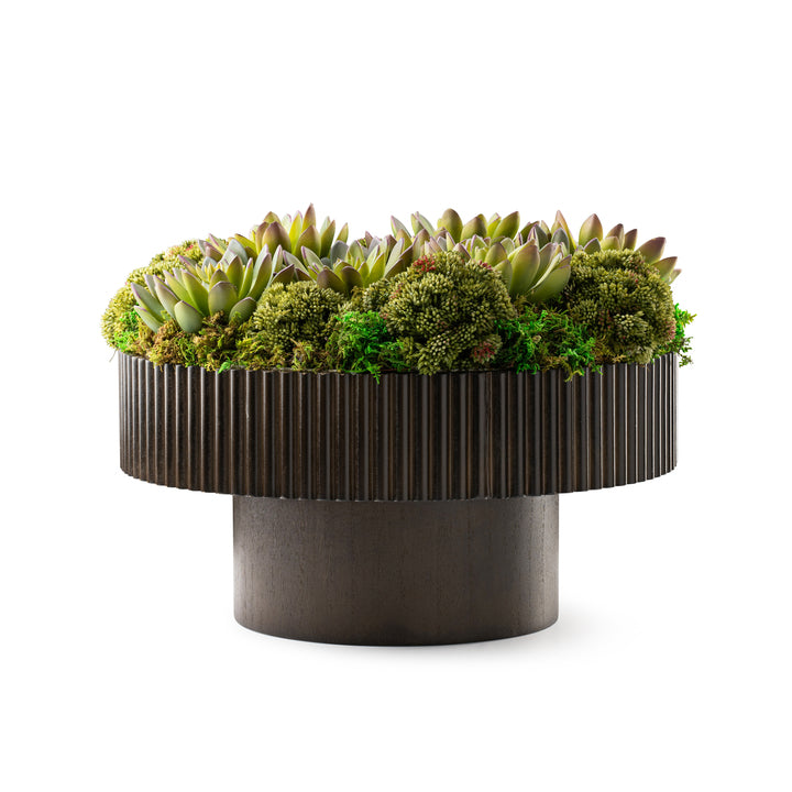 moss and succulents DH Moss & Succulents in Wood Pedestal Pot