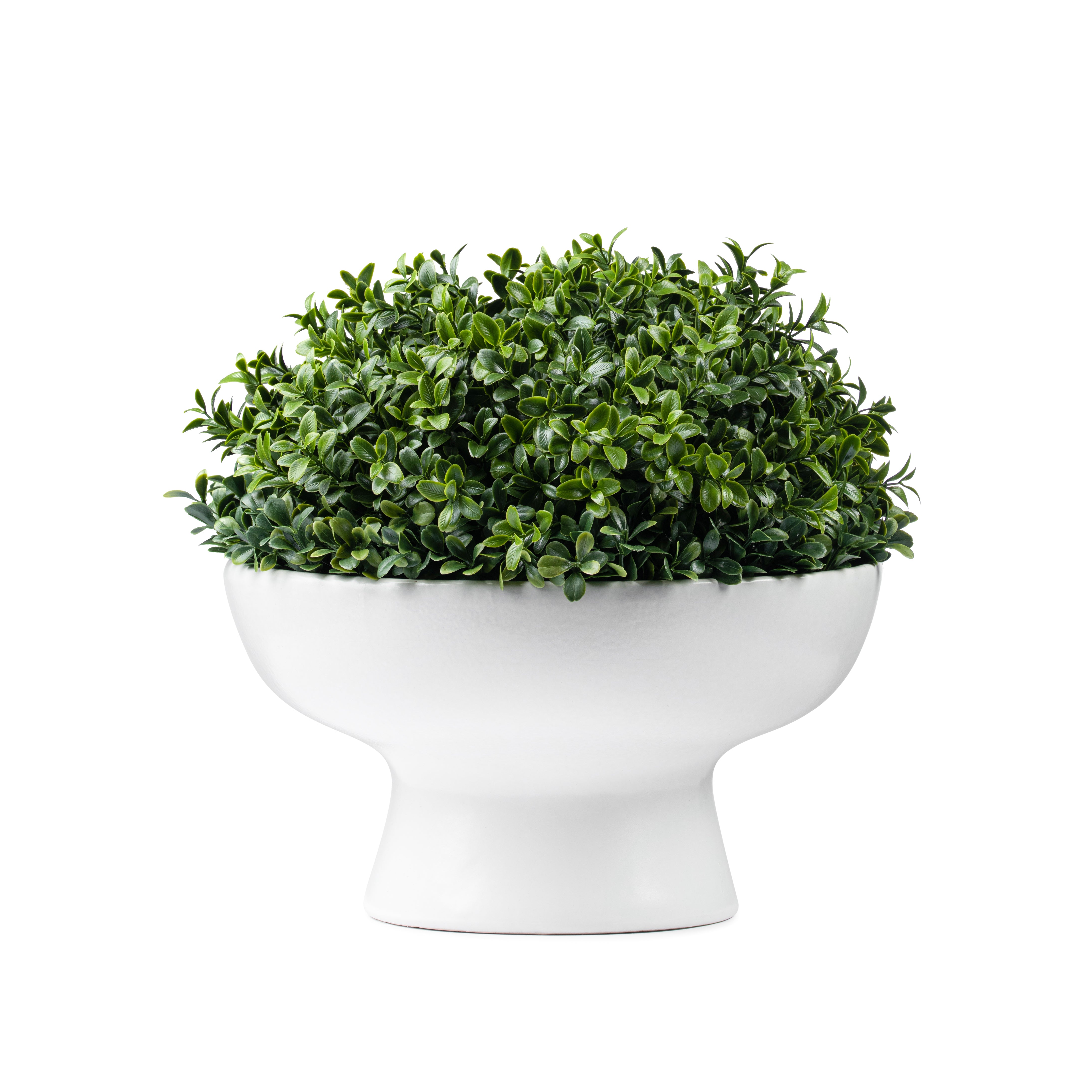 White Pedestal Boxwood Floral Arrangement