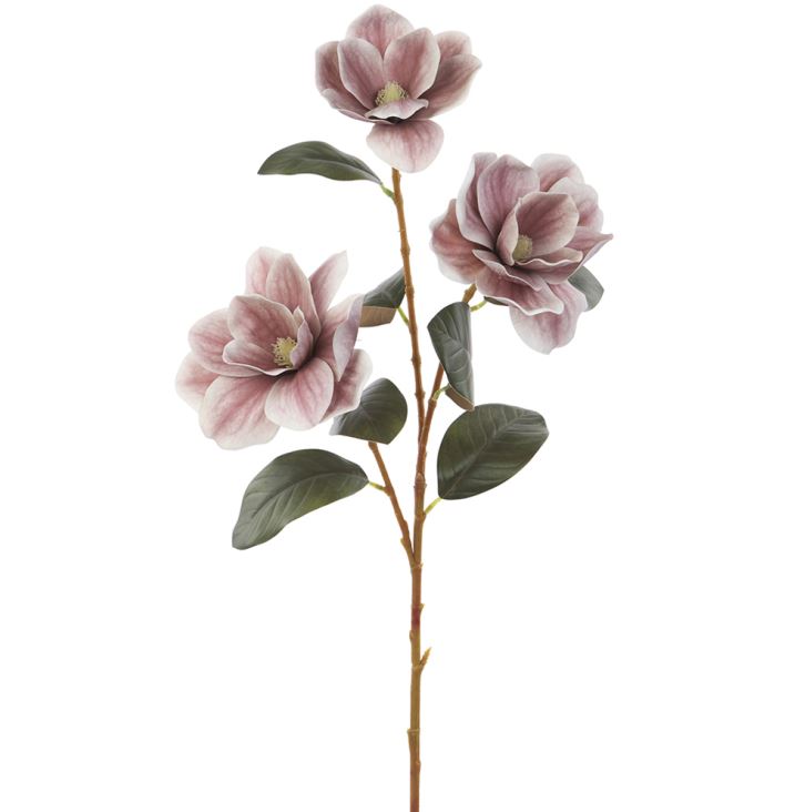 Mauve Magnolia Stem