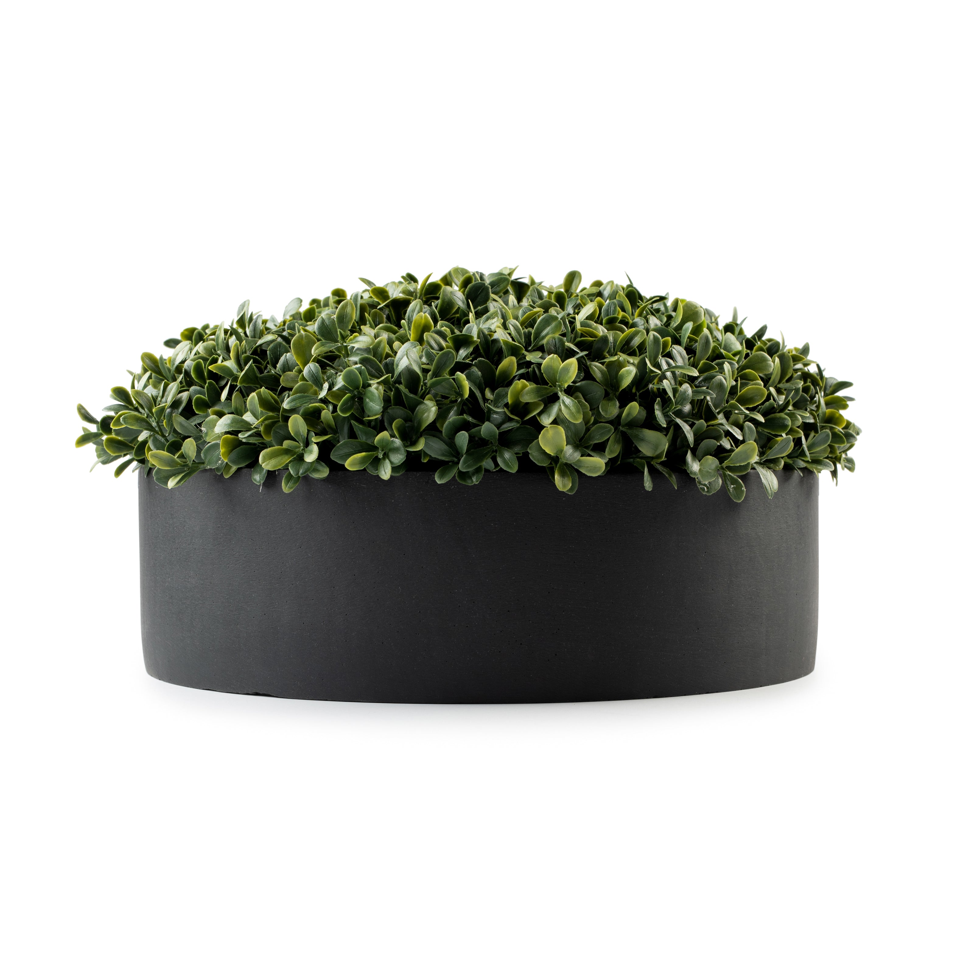 Black Round Boxwood Pot