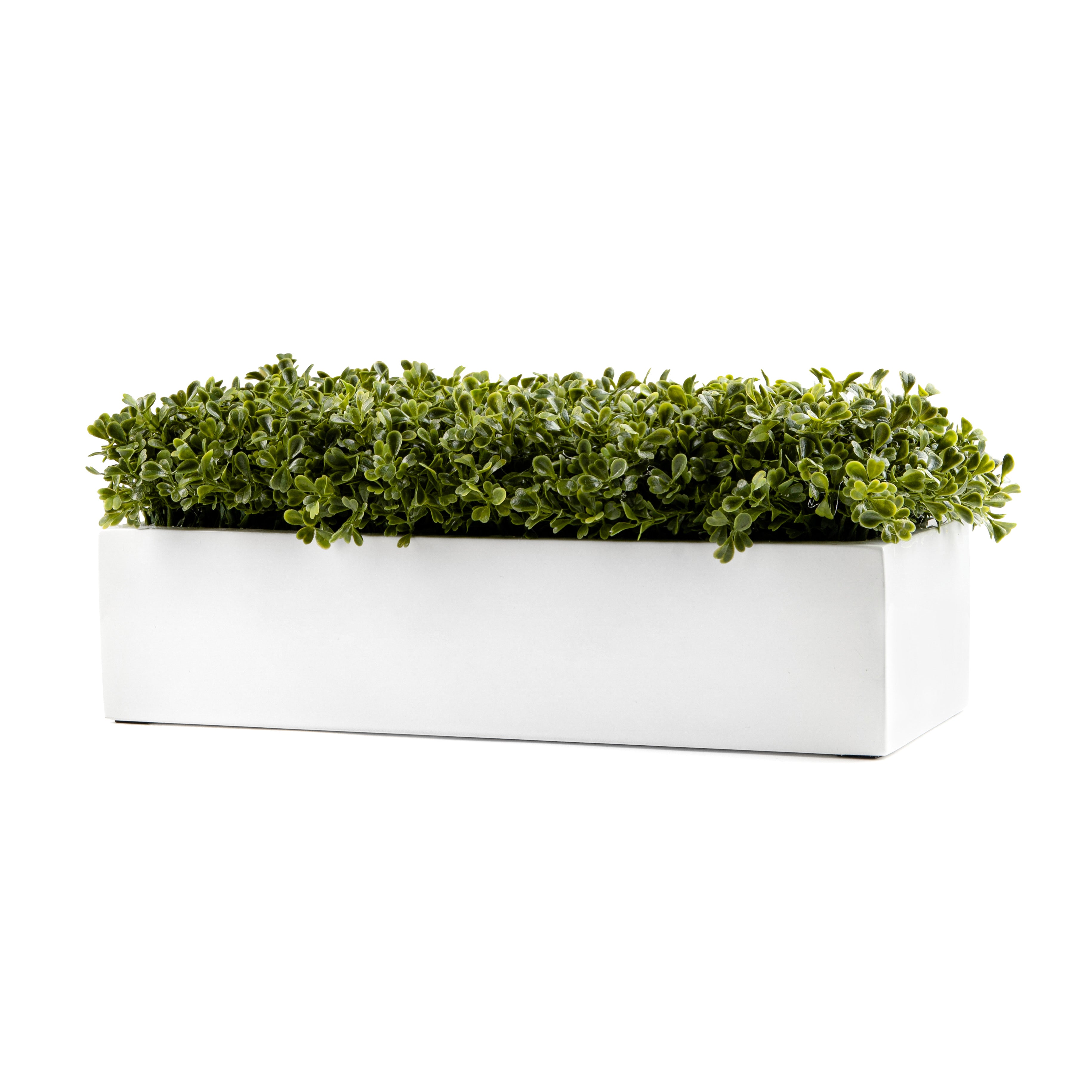 white planter box indoor DH White Rectangle Boxwood Pot