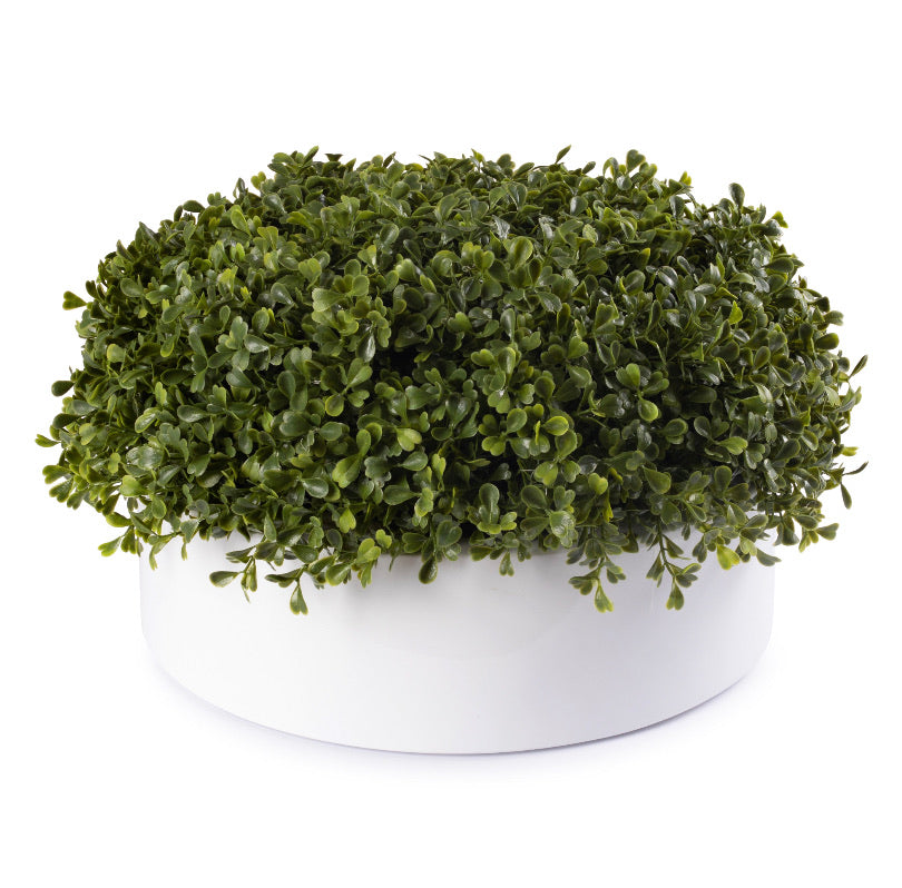 White Round Boxwood Pot