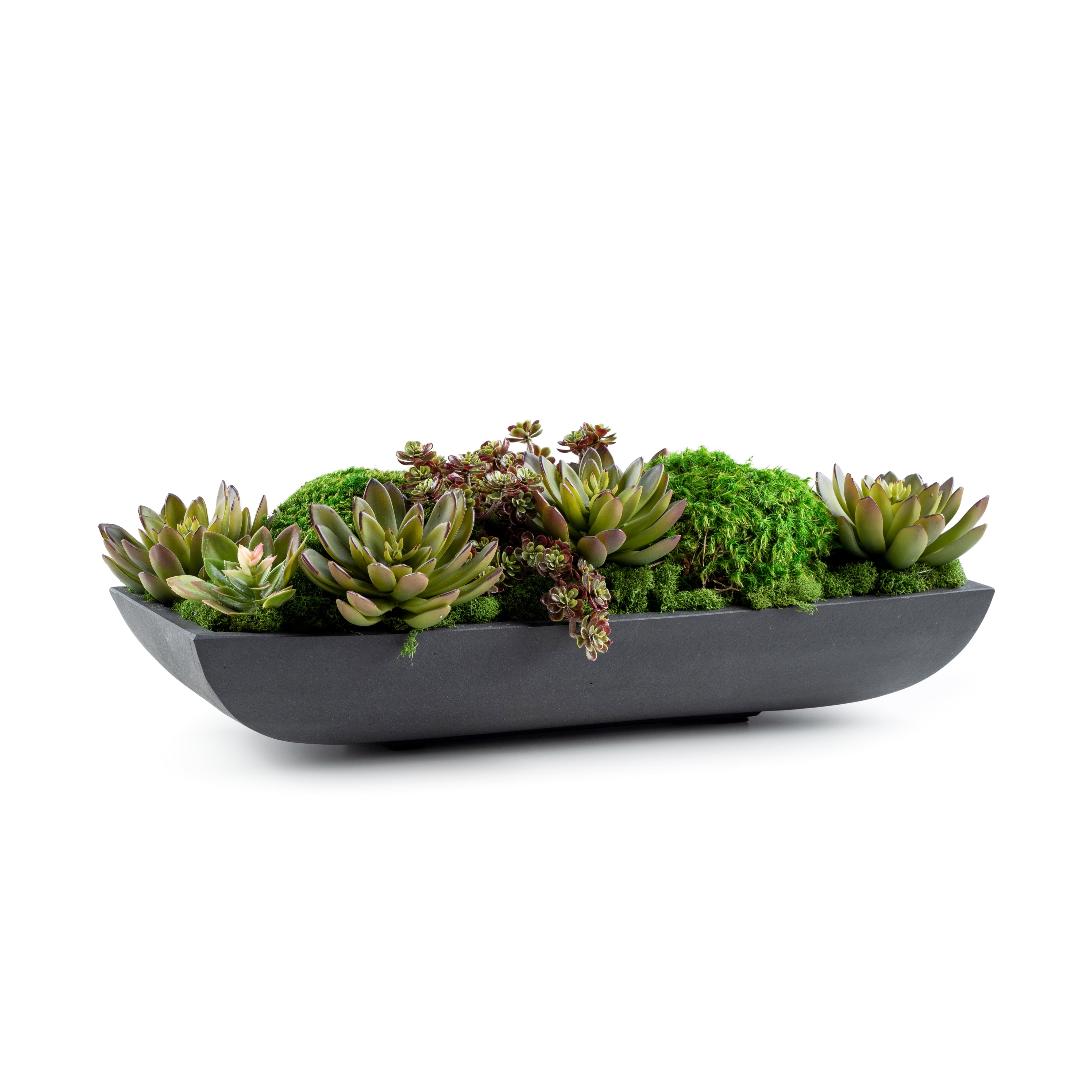 succulents with moss DH Moss Succulents Pot