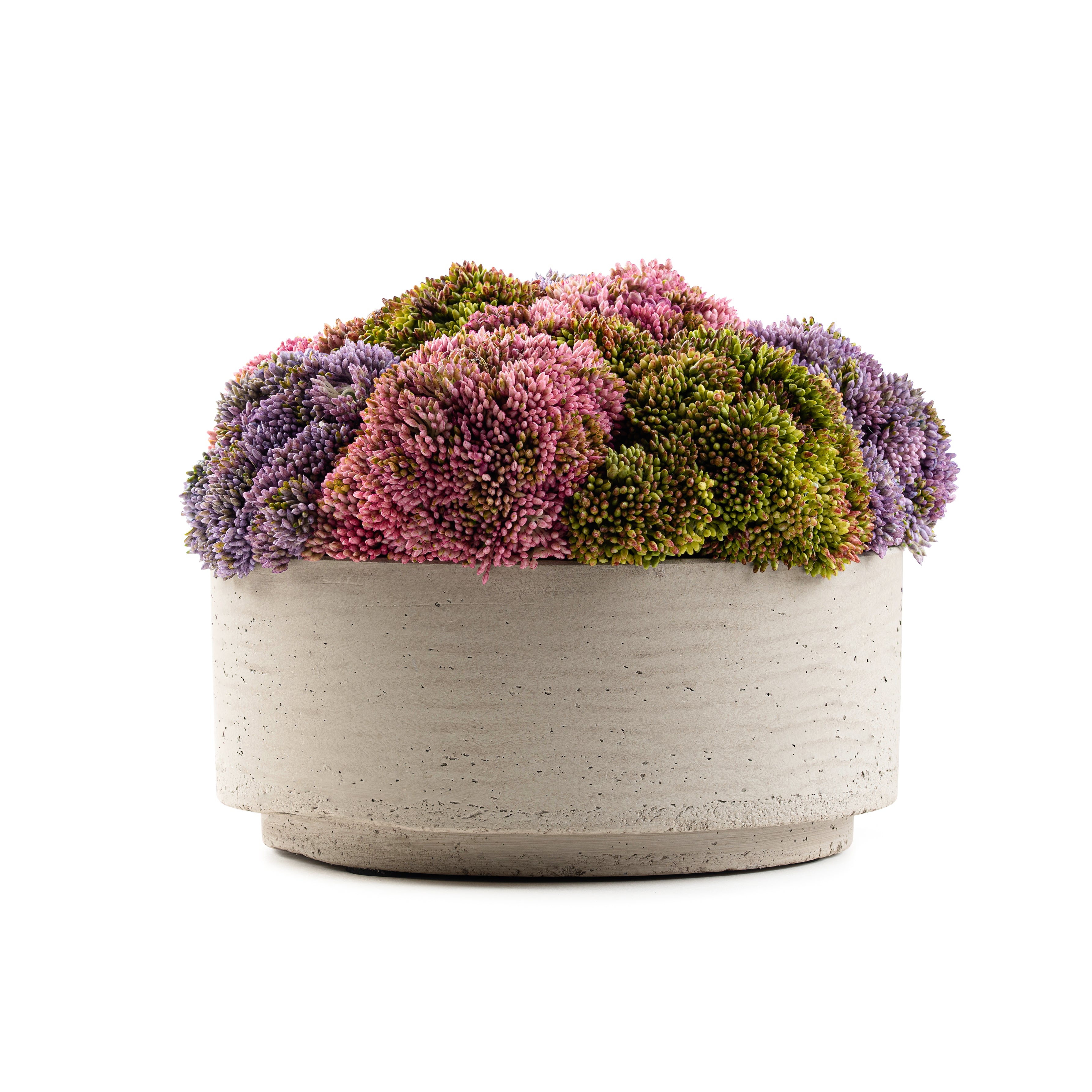 DH Trio Floral Decor