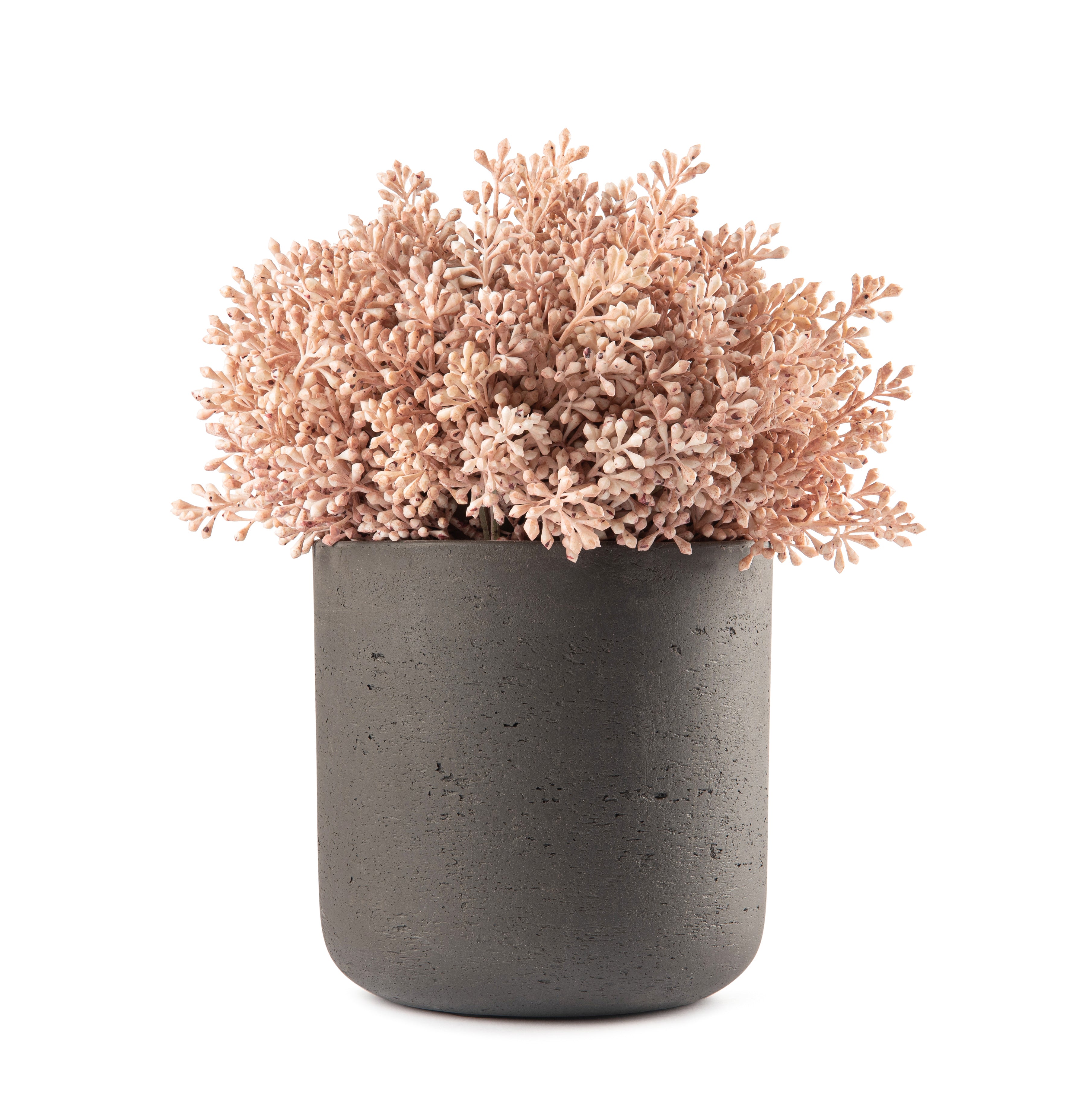 Pink Seed Pot