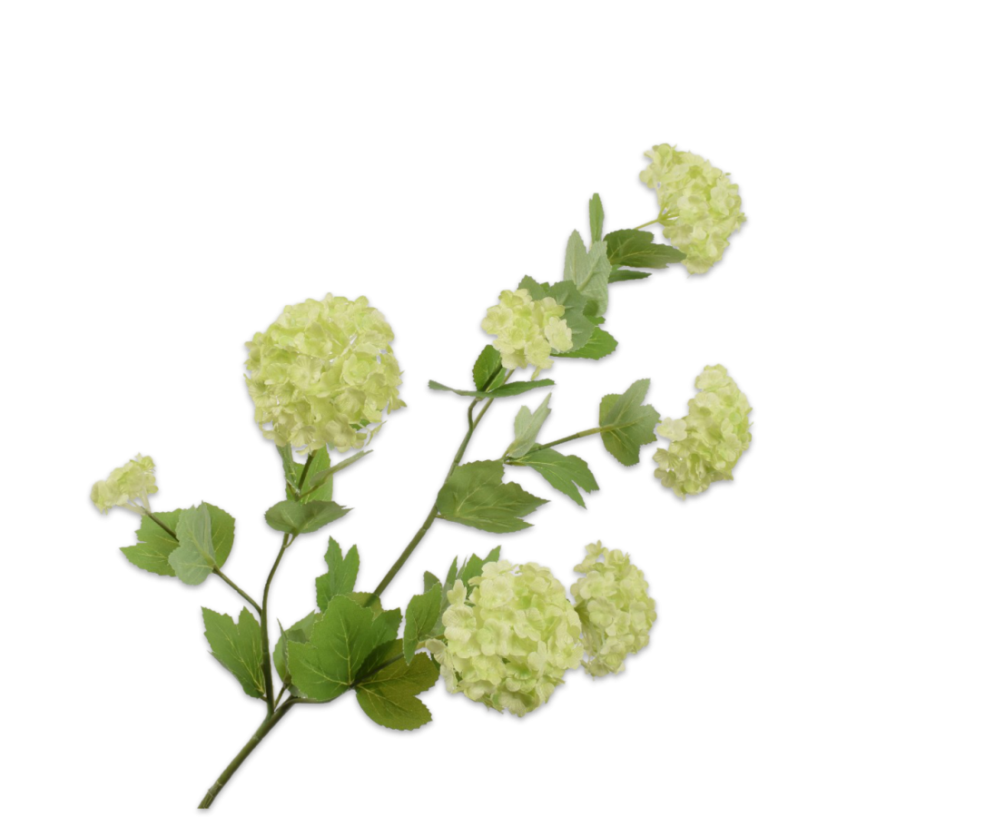 Green Snowball Spray