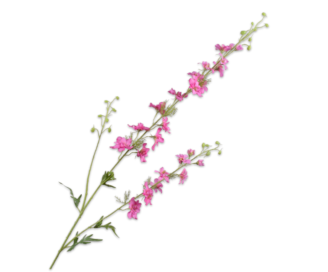Delphinium Spray Beauty