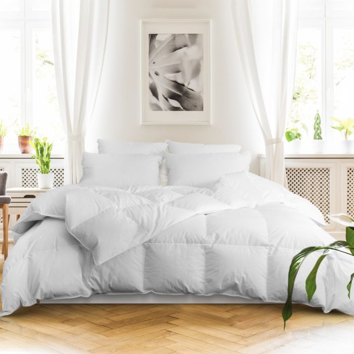 Astra Down Alternative Comforter By Downright