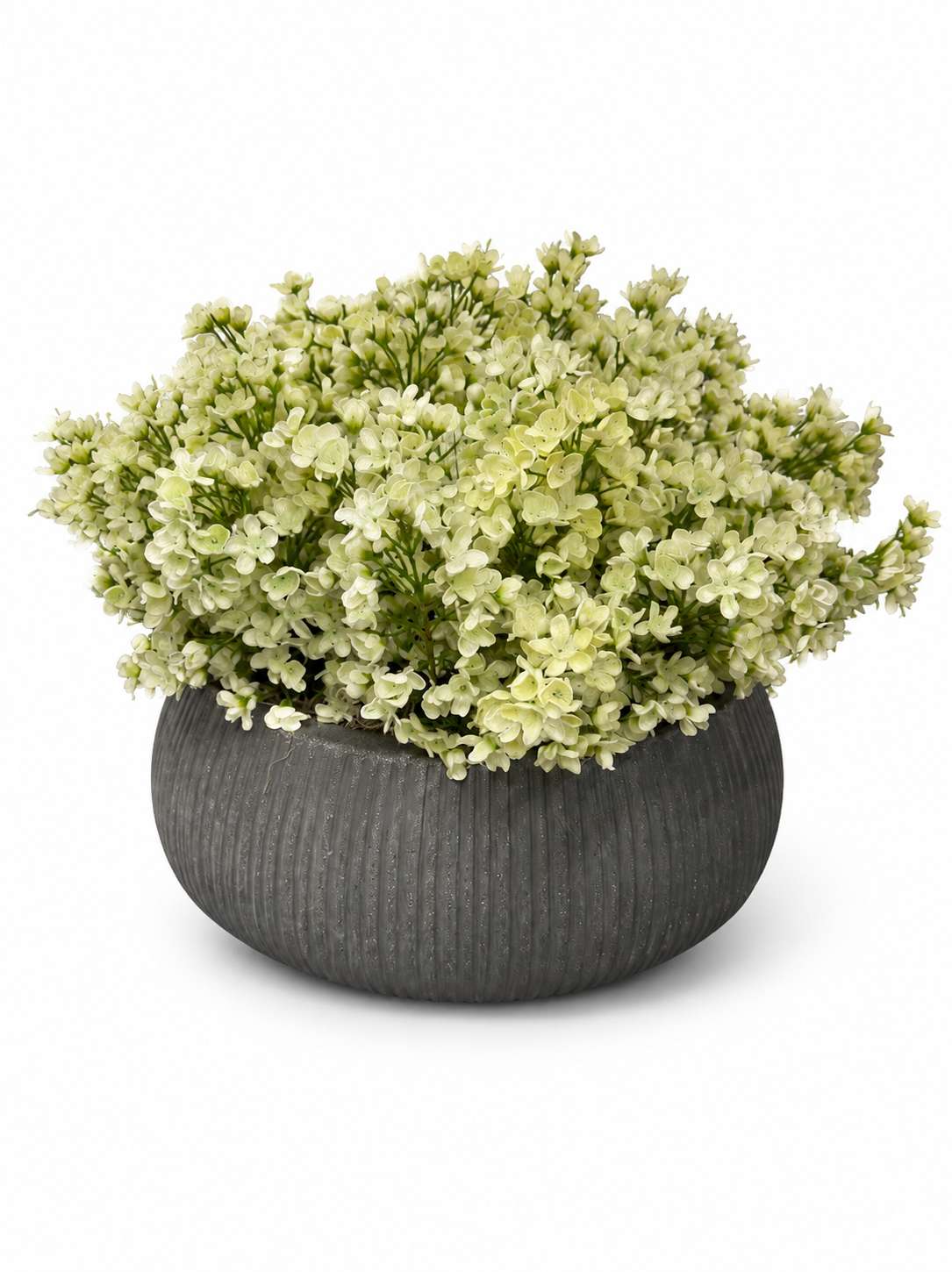 DH Vertical Line White Bud Floral