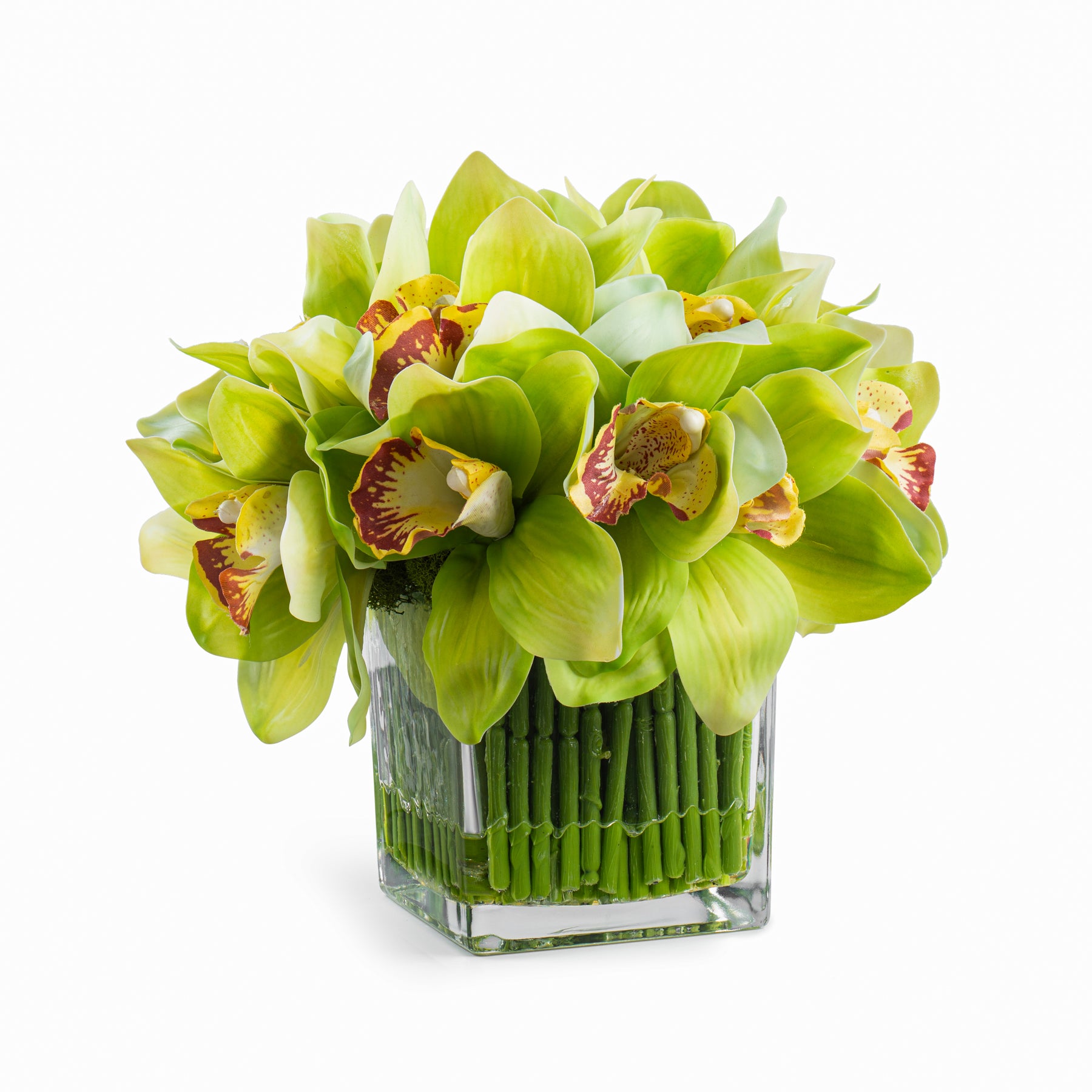 Green Orchid in Square Glass Vase