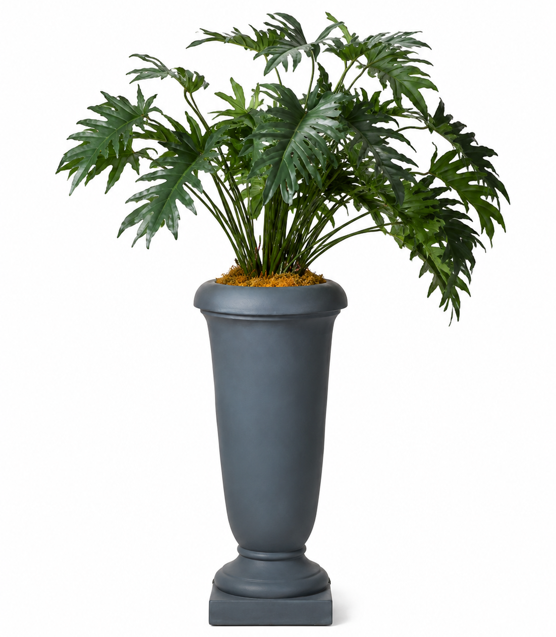 DH Xanadu Leaf Footed Urn Floor Planter