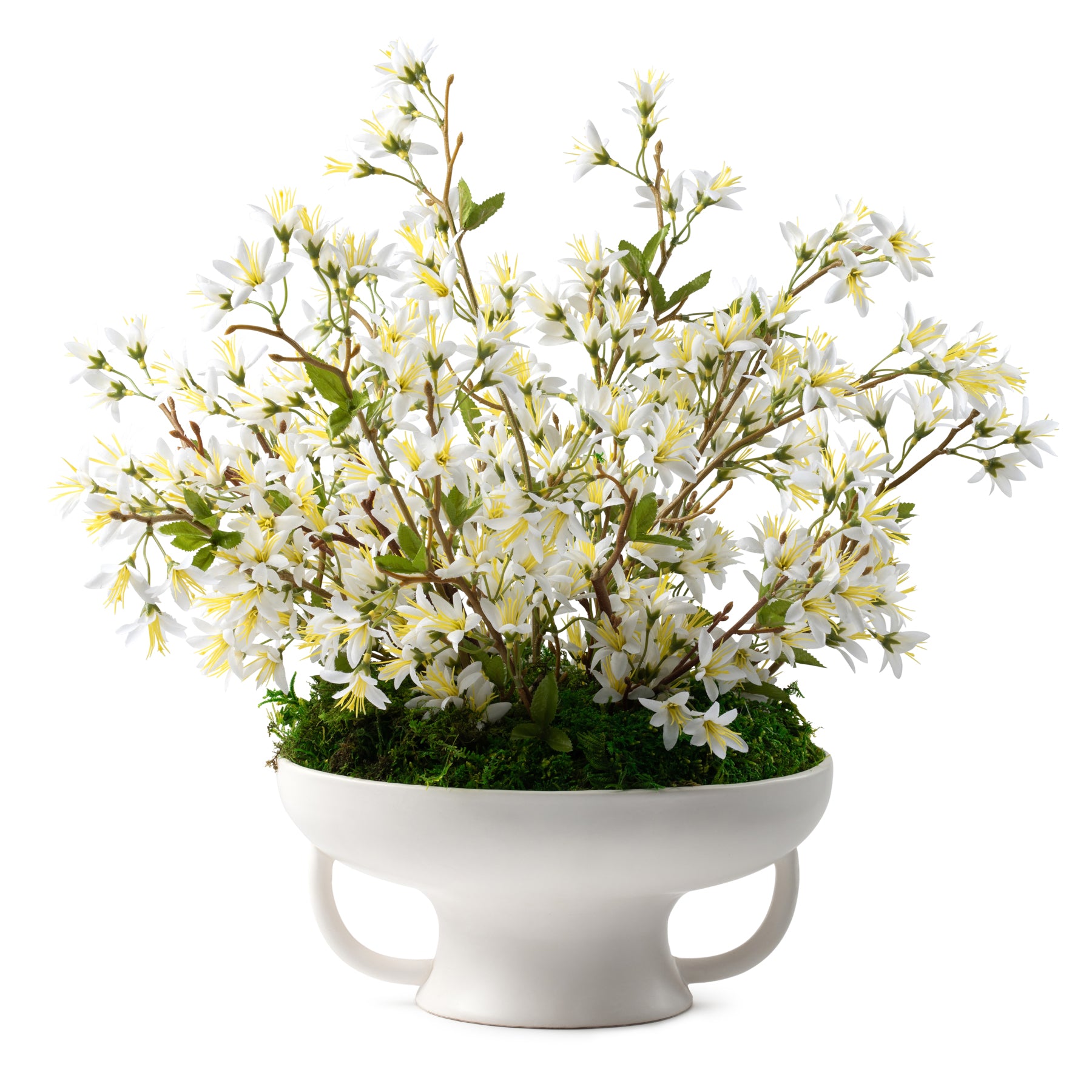 DH Starflower and Moss in Pedestal Bowl With Handles