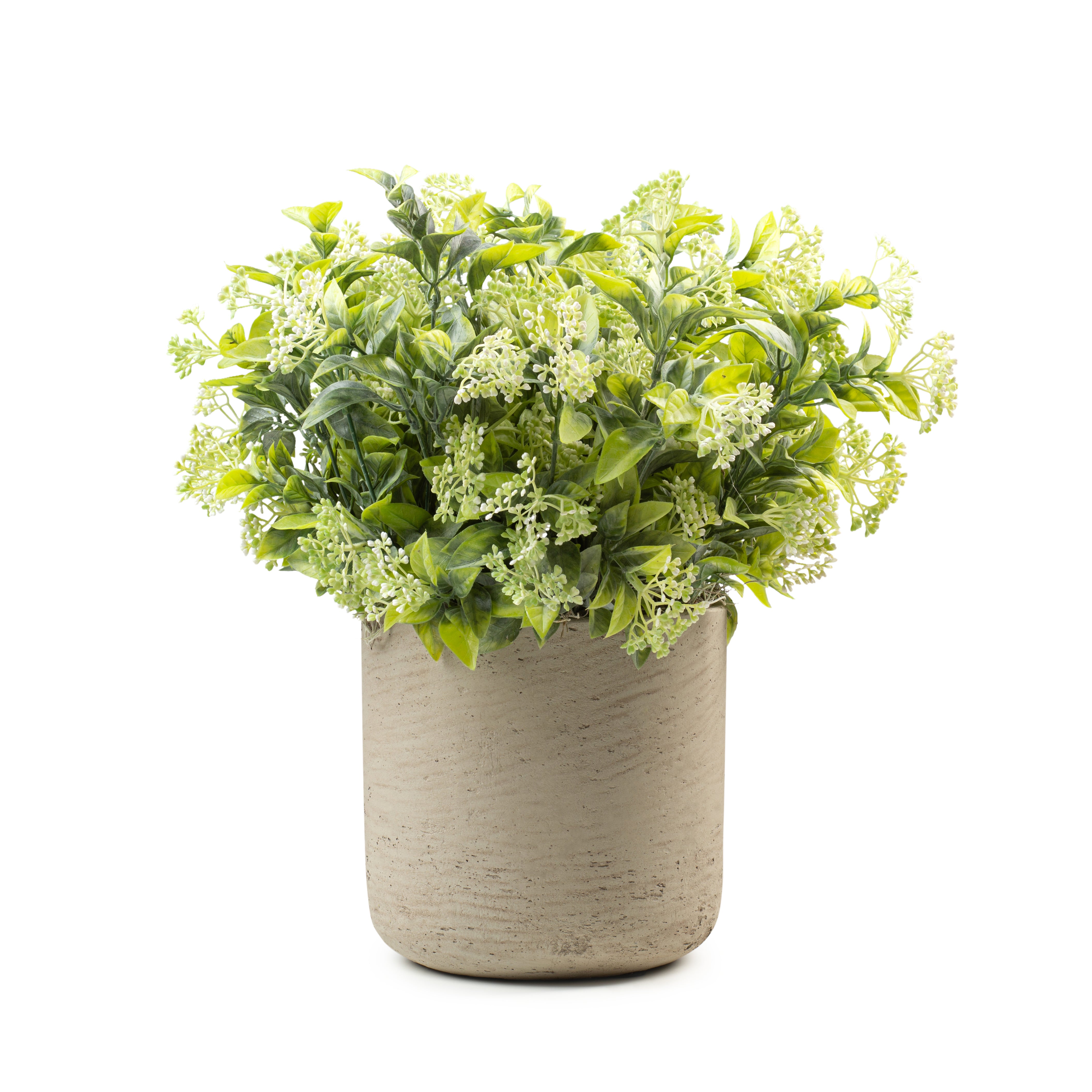 DH Cream Berry Leaves In Grey Patt Pot