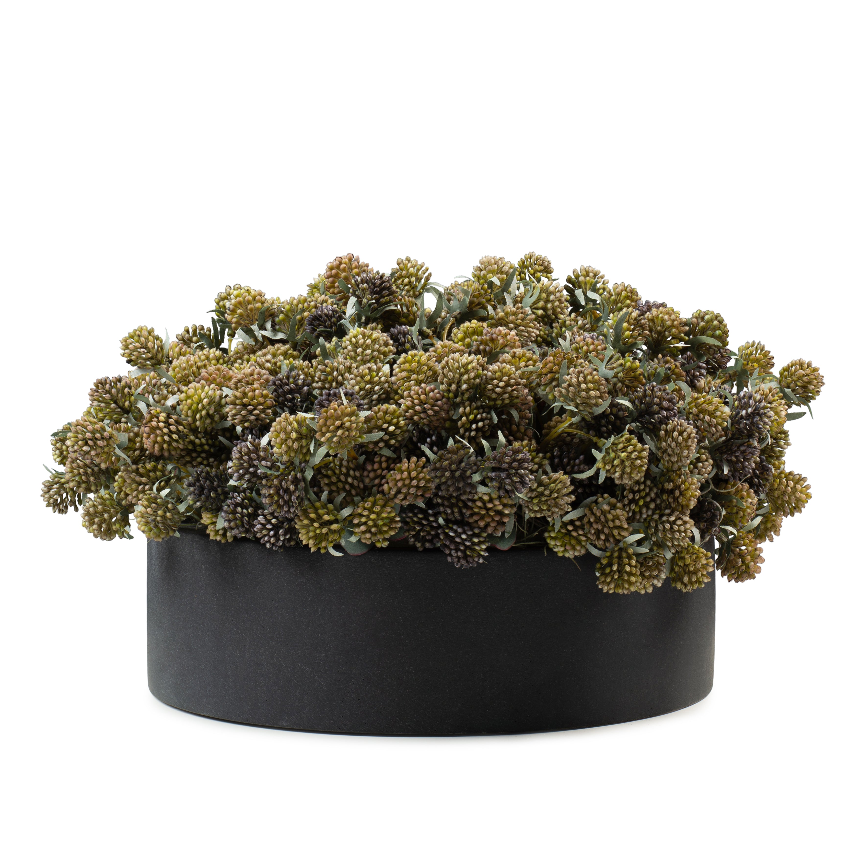 DH Berry Floral In Black Round Pot