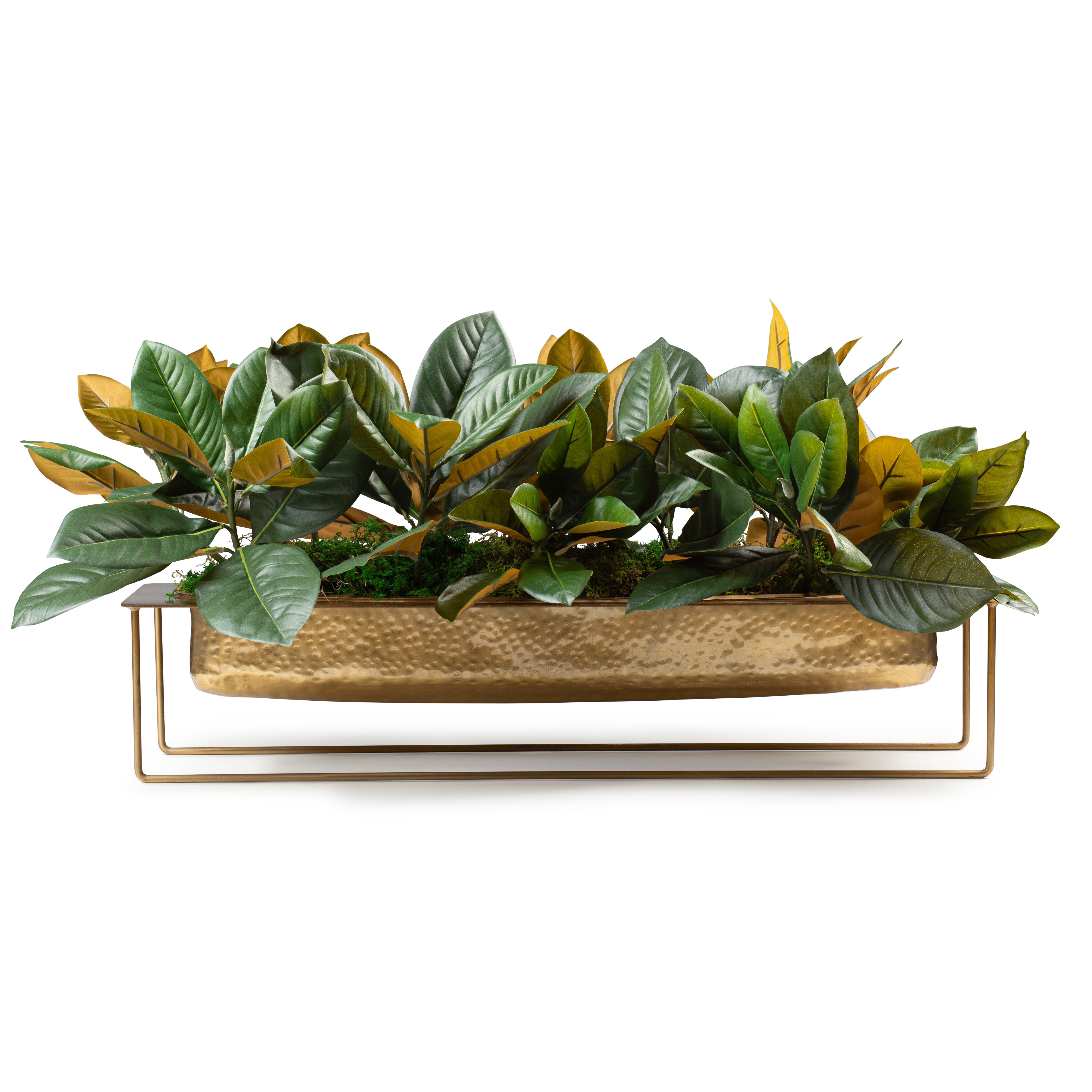 DH Magnolia Leaves In Long Brass Pot