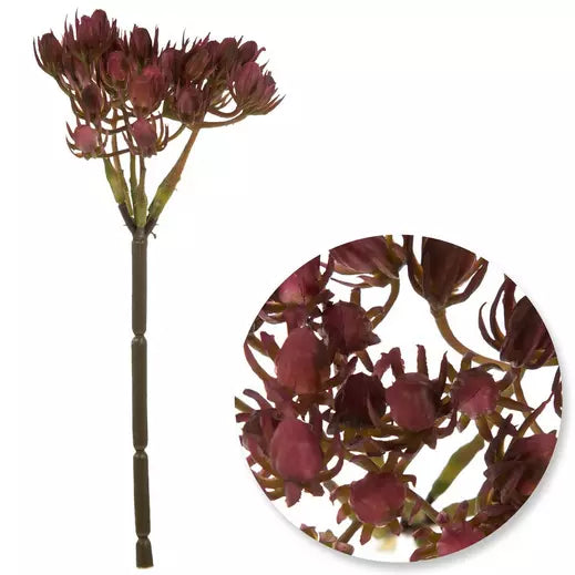 Burgundy Seed Pod Pick