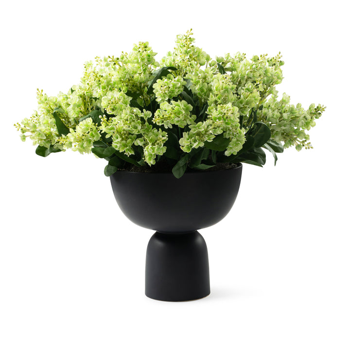 DH Green Bud in Black Ceramic Pedestal