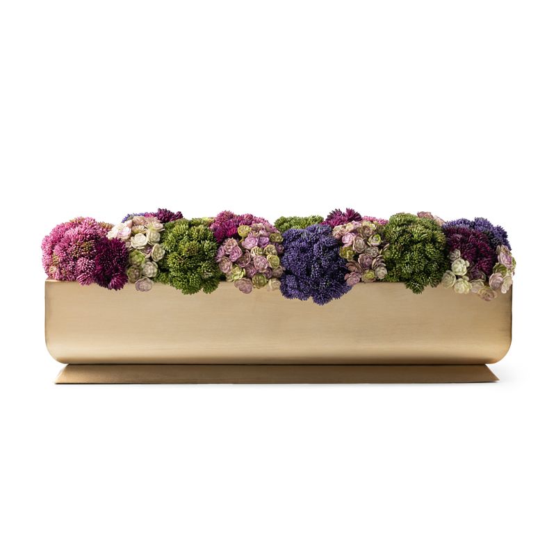 DH Multicolor Sedum Arrangement