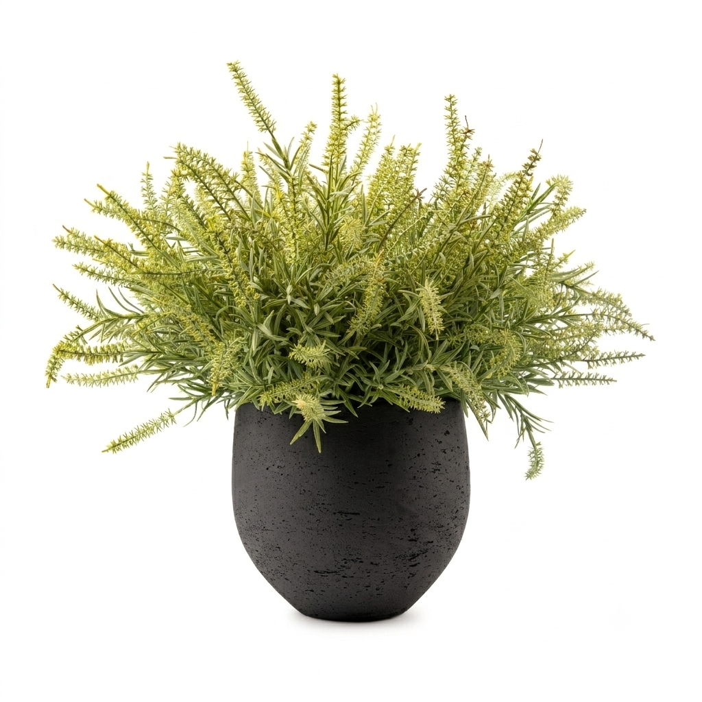 DH Green Ast Bush Orb Pot