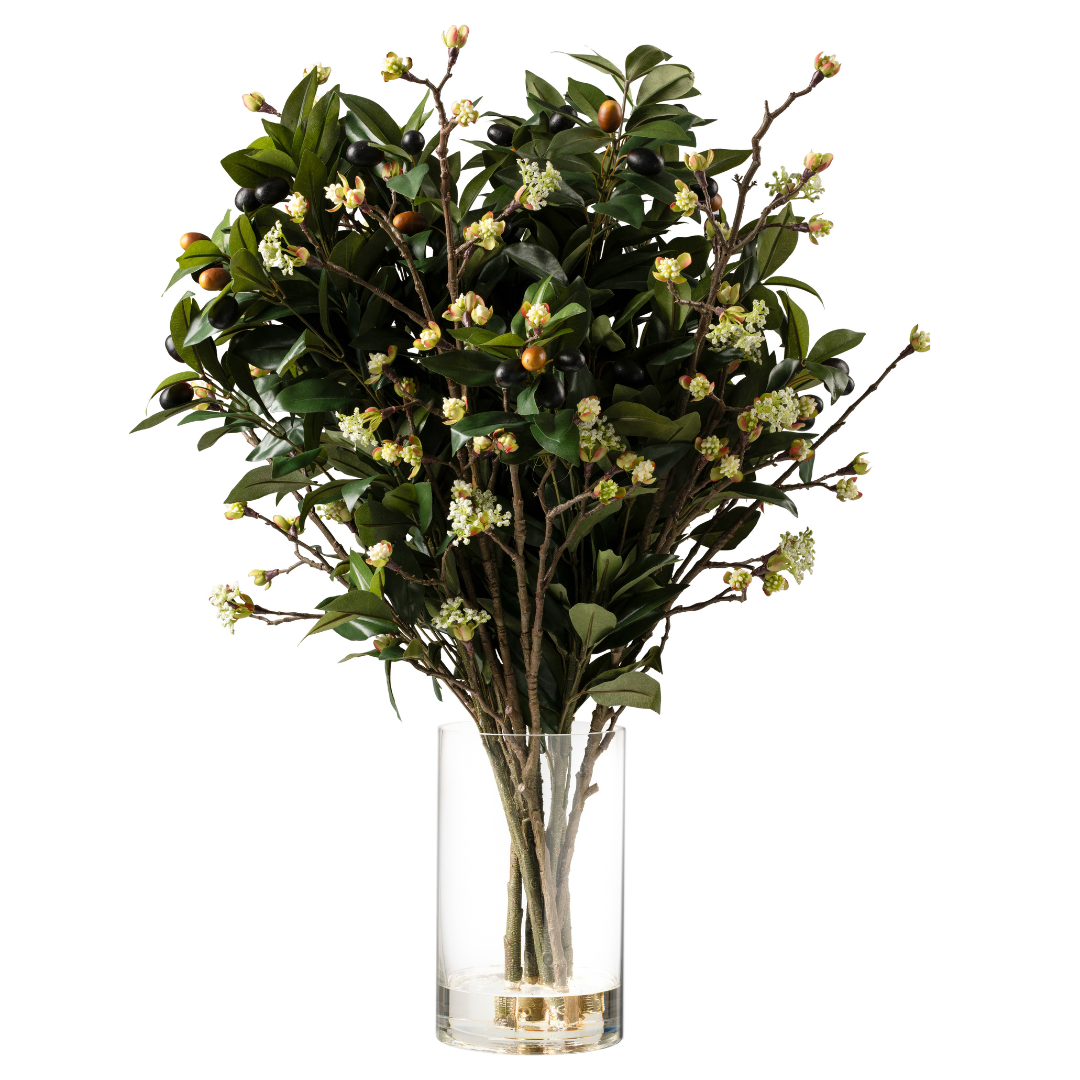 DH Olive Blossom Branches in Glass Vase