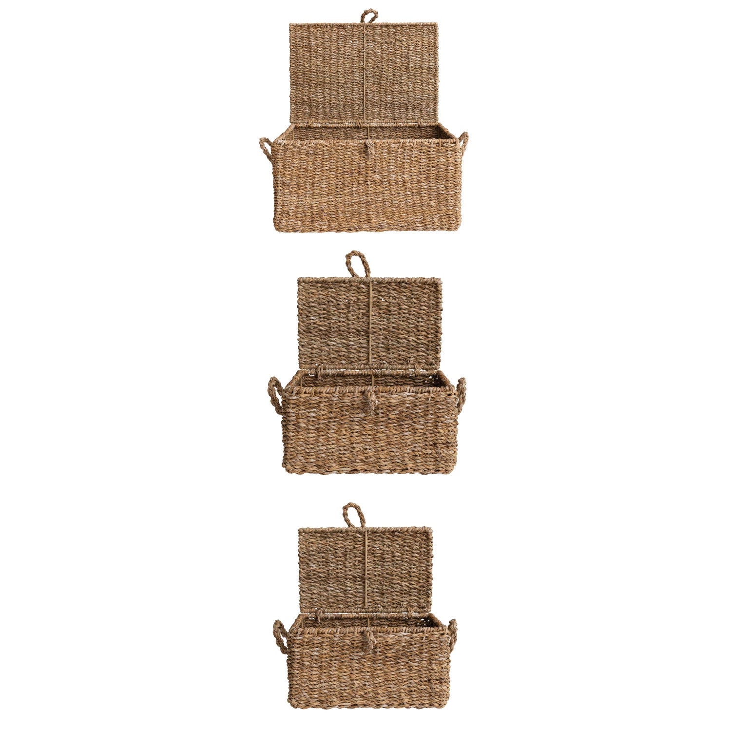 Woven Seagrass & Wire Framed Trunks, Set of 3