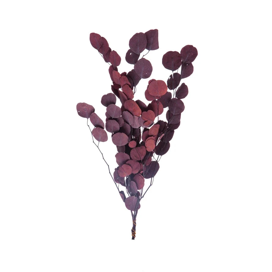 Dried Natural Aubergine Eucalyptus Bunch