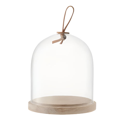 Ivalo Dome & Ash Base