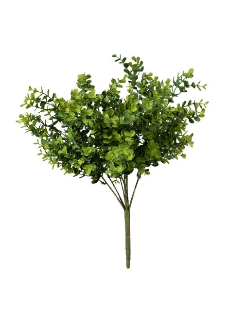 Mini Eucalyptus Leaf Bouquet