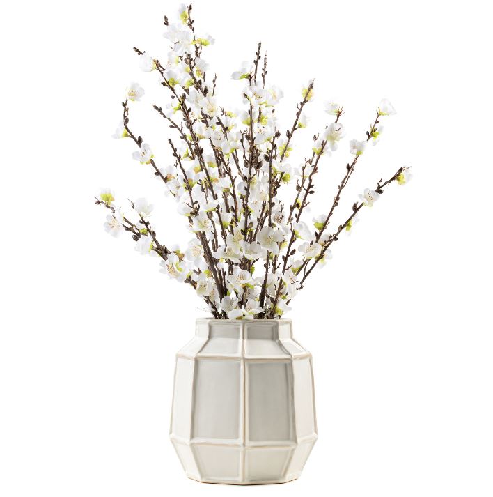 White Plum Blossom Arrangement