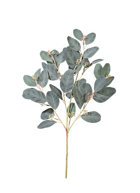 Green Seeded Eucalyptus Pick