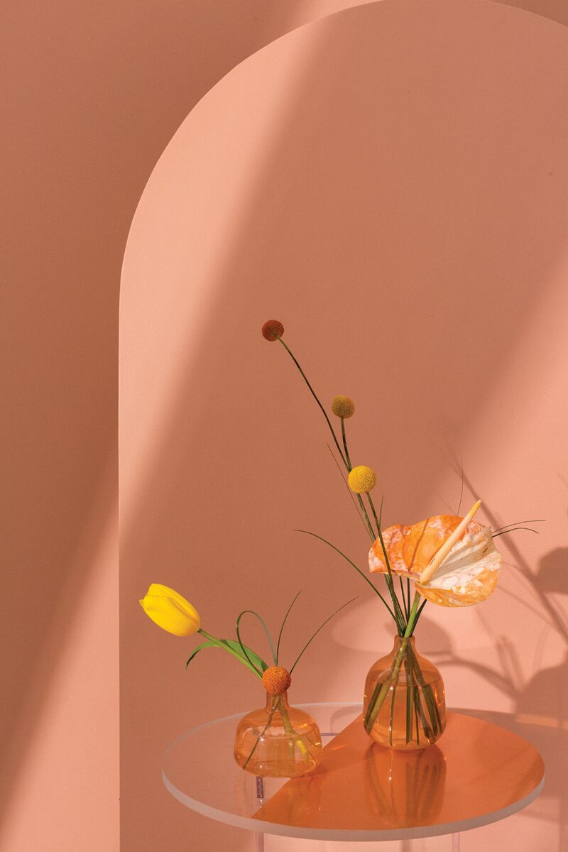 Hany Budvase