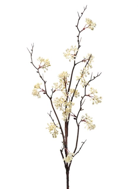 Light Yellow Berry Branch
