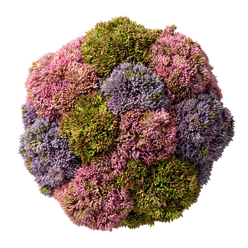 Trio Floral Decor