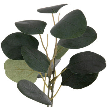 Eucalyptus Leaf Floral