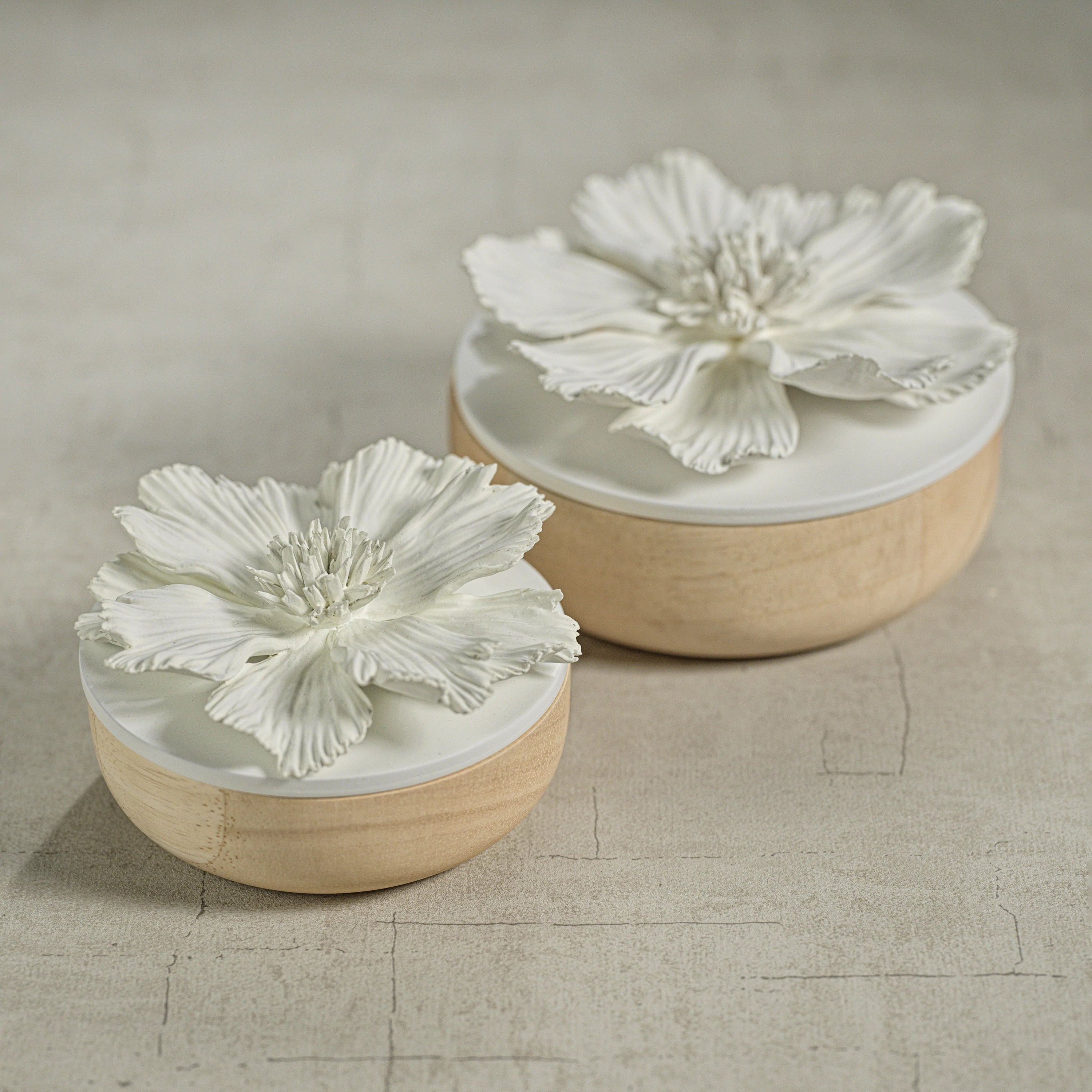 Cosmos Porcelain & Natural Wood Flower Box