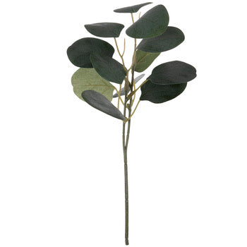 Eucalyptus Leaf Floral — Domani Home