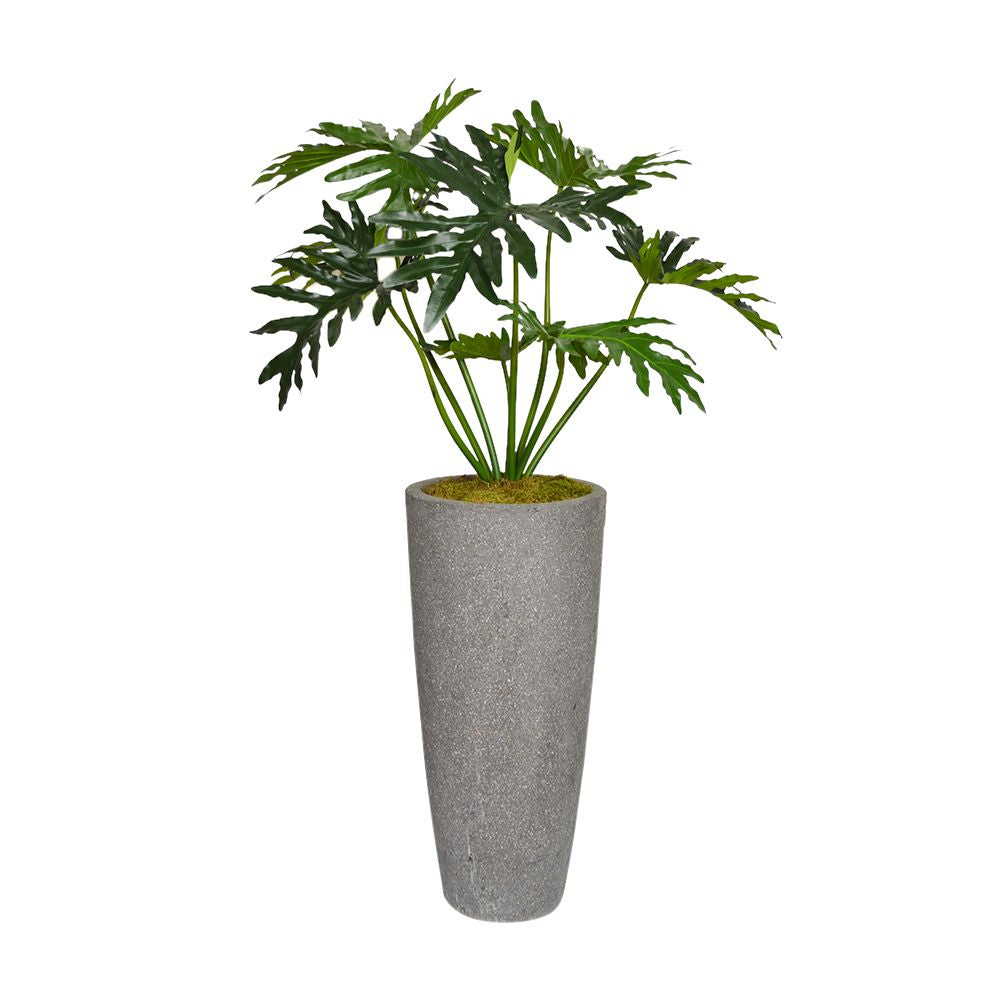 Philodendron Leaves In Gray Pot